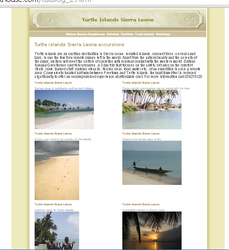 simple web designs for small business